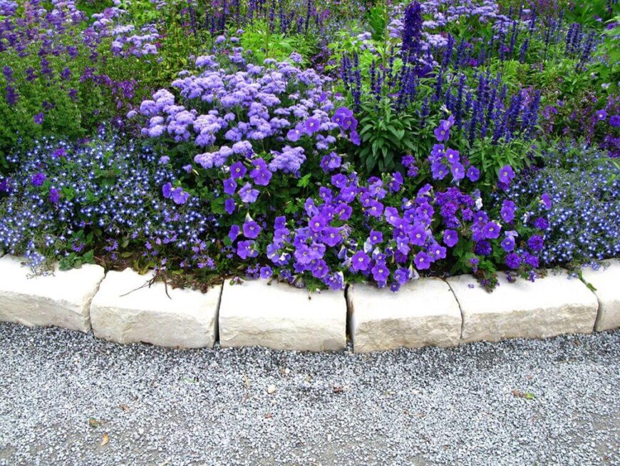 当选择正确的多年生植物组合时，花园可以拥有各种纹理，但颜色仍然匹配。这个花园里所有的花都是相似而互补的紫色。年复一年，这个令人惊叹的紫色花园会回来。