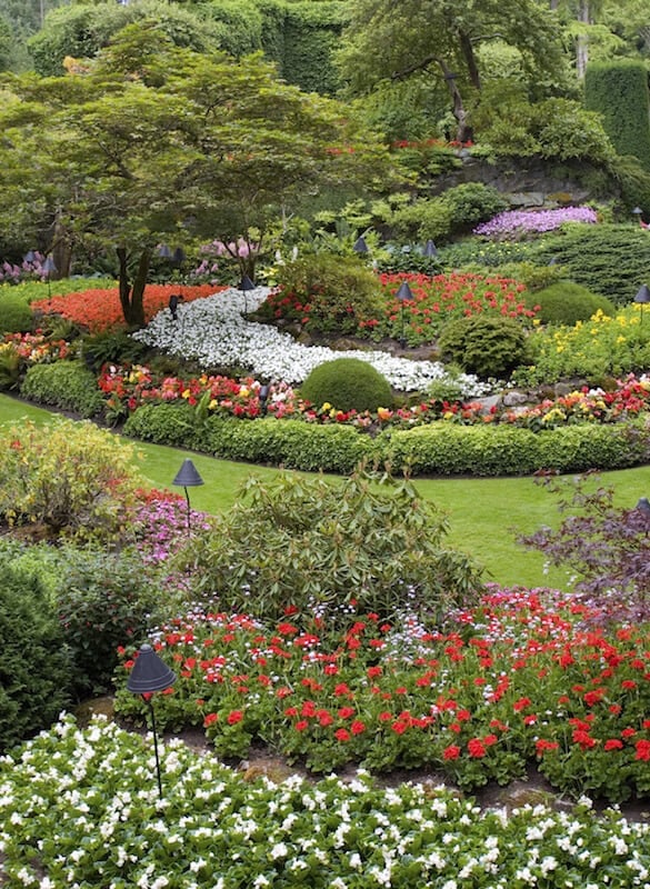 对园艺高手来说，俯瞰一个巨大的花园无疑是一件快乐的事情。看到自己的劳动成果盛开，你会有一种无与伦比的自豪感。