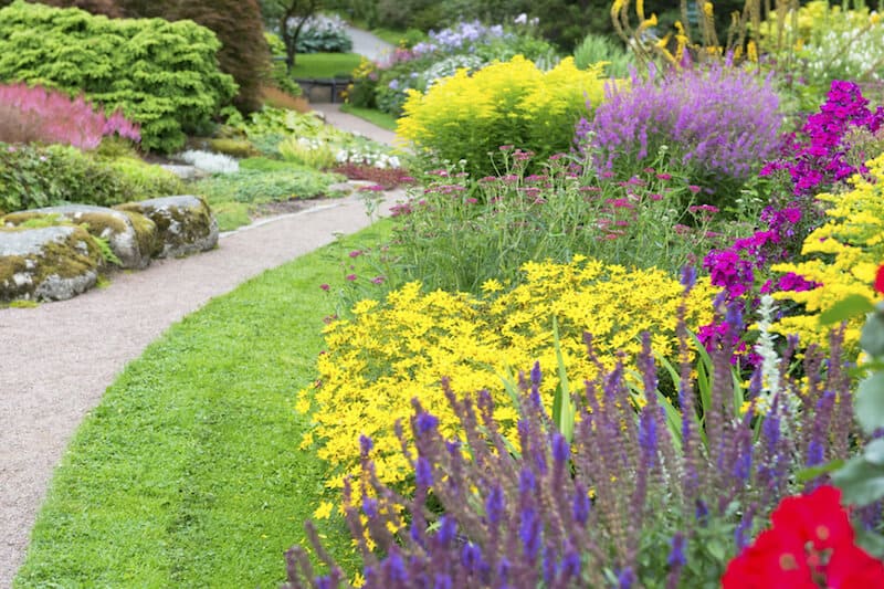 每一个空间都可以被一些鲜花照亮。粉色、黄色和紫色可以让一个空间感觉更加愉悦和快乐。在院子里看到这些可爱的花，每天都很明媚。