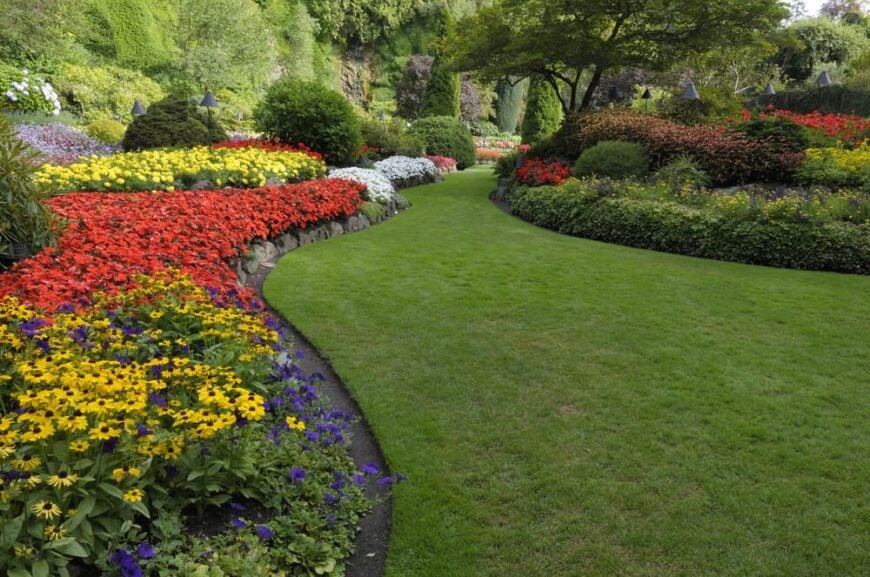 一个维护良好的大花园可以给你的院子带来无与伦比的色彩和活力。一个大而茂盛的花园可以给你的空间目标和方向。