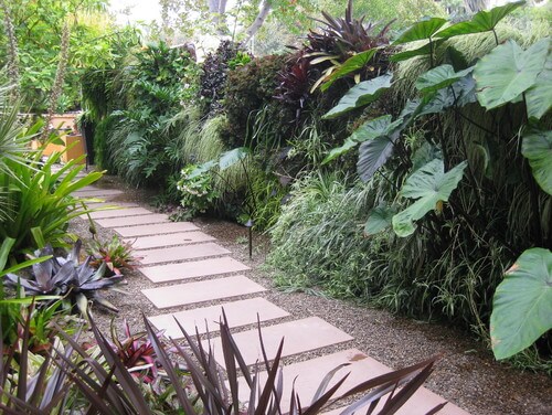 如果你有正确的植物组合，你可以创造一个绿色的墙。这种植物墙是由各种各样的植物制成的，使墙看起来很野性。荆棘在穿过院子的小路上突然停了下来。