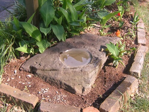 这是在地面上的一块大石头上雕刻的一个小盆。这块雕刻的岩石为鸟类提供了一个阴凉的地方，让它们四处飞溅，为它们提供了一个完美的度假胜地。