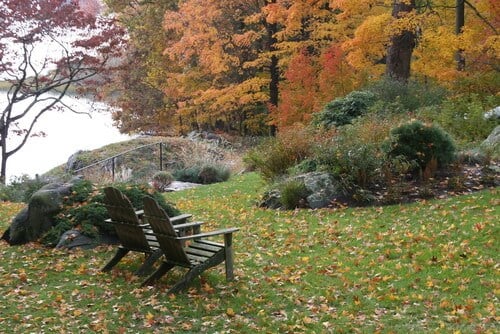 大自然可以是地球上最伟大的表演。坐在几把令人惊叹的阿迪朗达克椅子上，看着大自然展开。如果你附近有一片树木繁茂的地方，它可以成为你椅子的完美焦点。