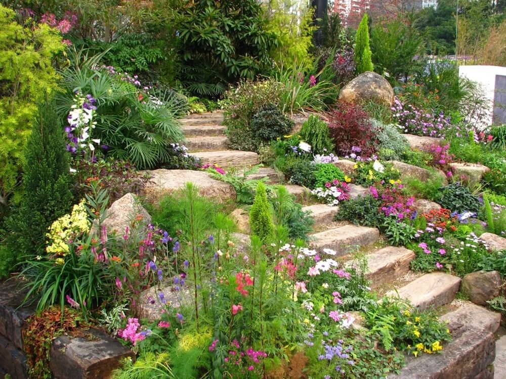 这里有一些石阶放置在野生植物和岩石花园之间。岩石花园和植物花园可以很好地排列你的石阶。岩石无缝地将景观转变为台阶。