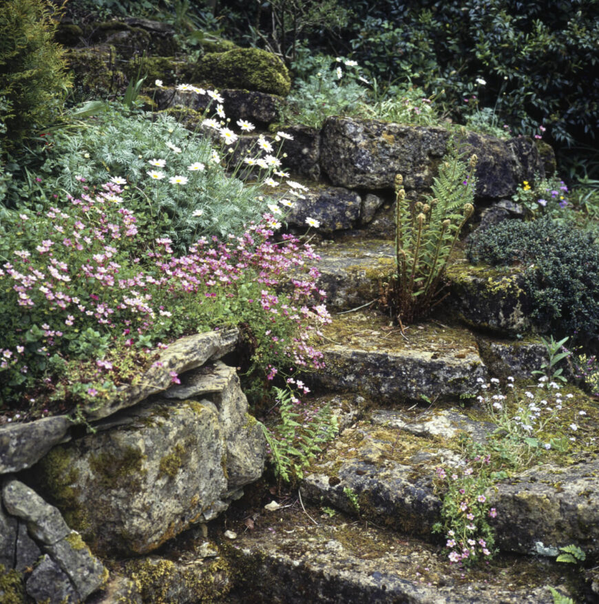 你能拥有的真正自然的石阶的最佳组合之一是粗糙切割的不对称石头和野生植物。这些石阶上覆盖着苔藓和植物，使它具有奇妙的自然吸引力。