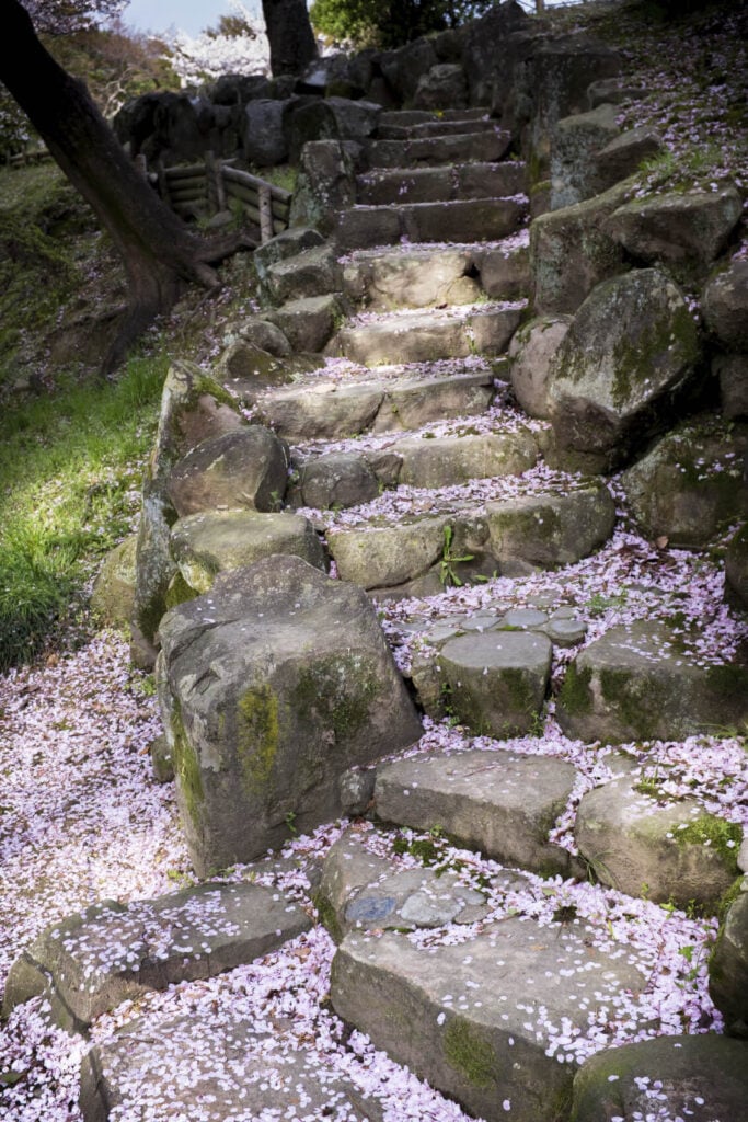 这里是另一个崎岖的步骤的例子。这些台阶被其他未切割的岩石包围着，使这些台阶看起来好像是在巨石小径上雕刻出来的。这是一个有趣而质朴的外观，为你的院子带来个性。