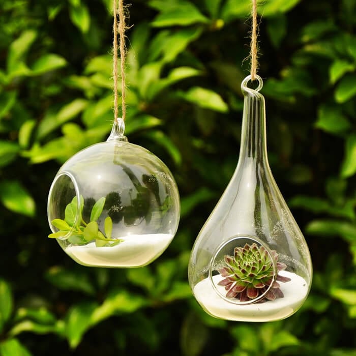 这些有趣的玻璃球，里面有植物，在给你的空间带来生命和色彩的同时，也做出了有趣的陈述。把这些挂在你时尚的露台上，以一种现代而时尚的方式把植物带进空间。