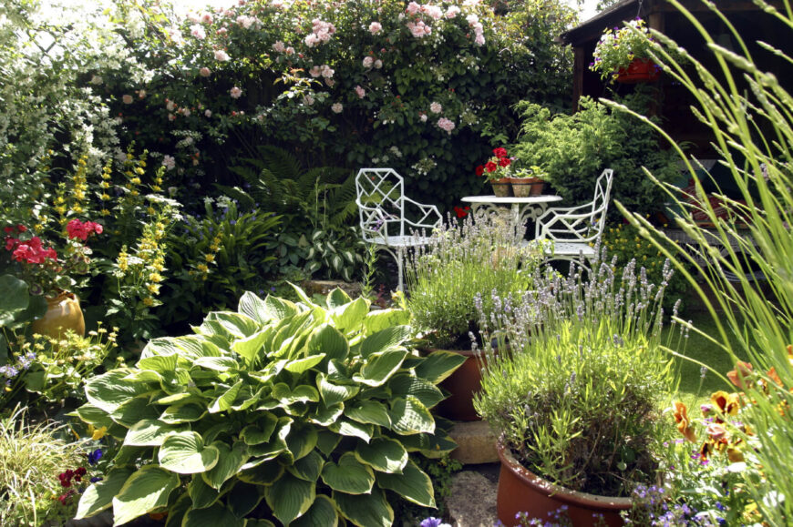 仅仅因为你的花园较小并不意味着你不能被植物包围。一个小咖啡桌和椅子，你可以建立一个精致和舒适的地方享受你的花园。