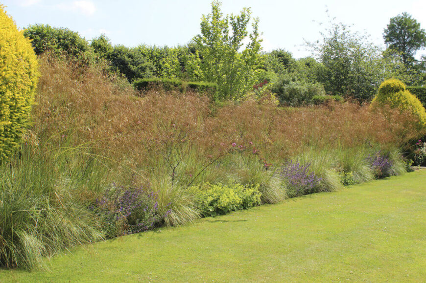 你可以选择让你的草坪一直延伸到你的大花园，在这两个元素之间创造一个无缝的过渡。