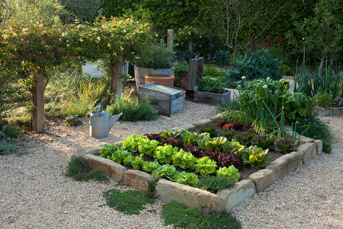 用砖砌成的菜园是完美的小花园。它看起来很棒，可以为你和你的家人提供营养。你的院子不仅看起来很棒，你也会感觉很棒。