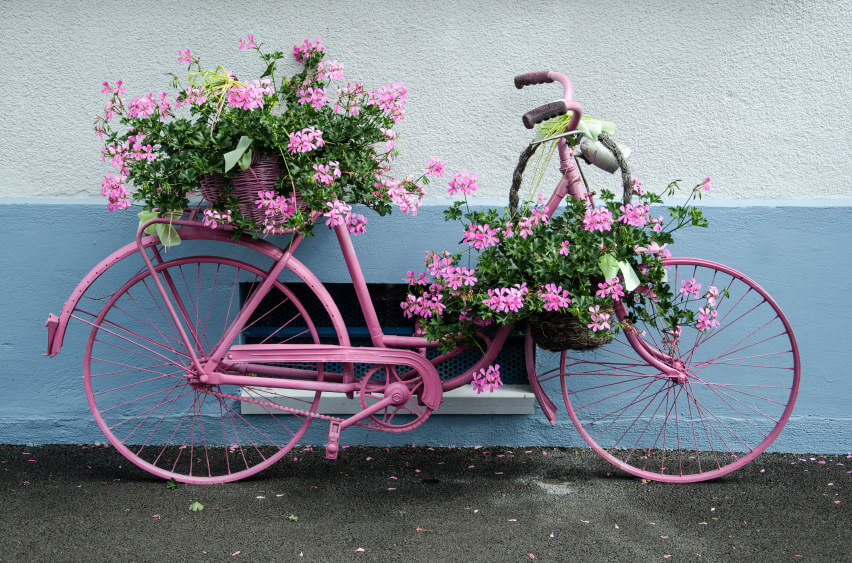 我喜欢这辆亮粉色的自行车，它是粉色花朵的支架。