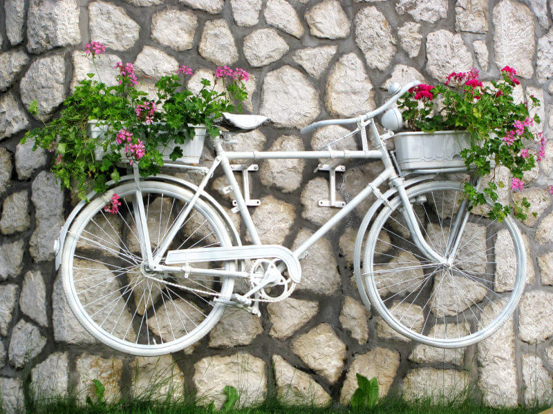 白色漆的自行车，前面和后面都有粉红色的花，挂在墙上。