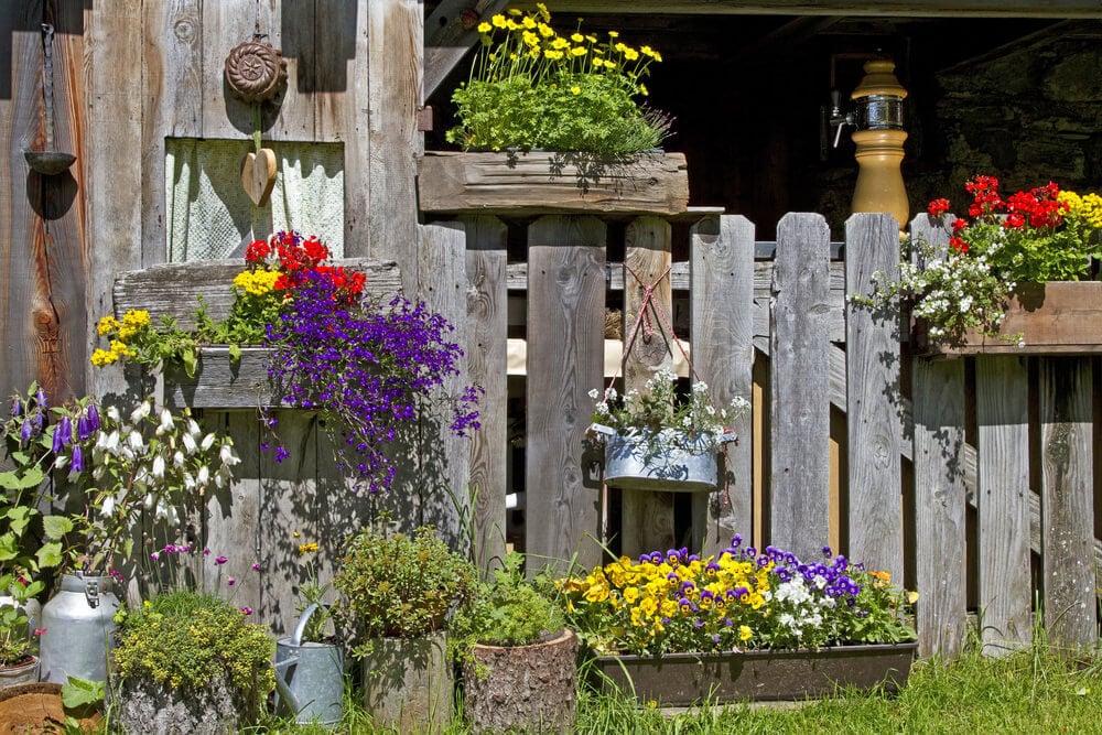乡村农场围栏和外屋周围是乡村木制花盒，里面装满了各种各样的花和花的颜色，包括黄色、紫色、白色和红色。