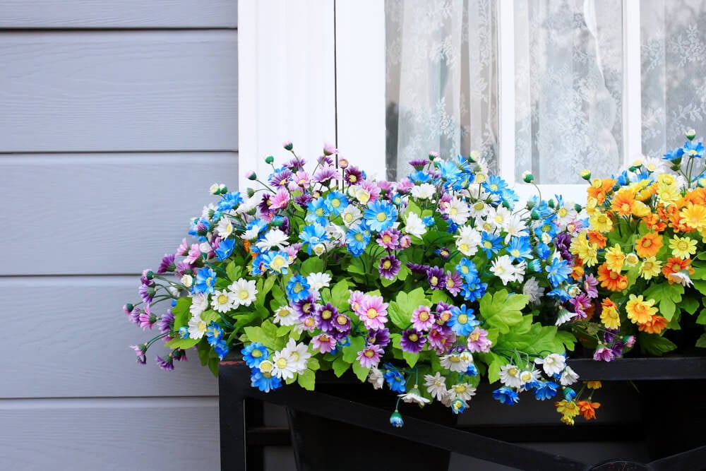 一个花盒的例子创造了一系列的花在花盆放置在窗户下面。