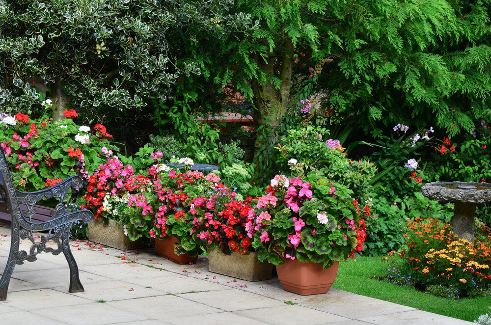 沿着庭院边缘种植花卉的极好例子。