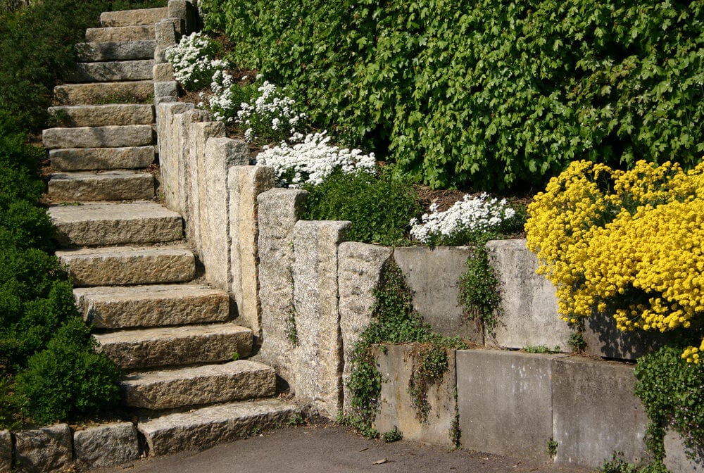 石质花园台阶由一边的垂直石板和另一边未修剪的树篱分开。垂直的石板上似乎长满了多年生花卉、灌木和藤蔓。