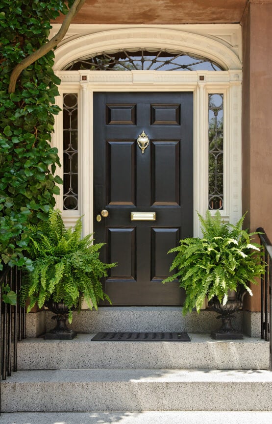 一个简单而宁静的前门装饰着几盆蕨类植物和一棵藤蔓。
