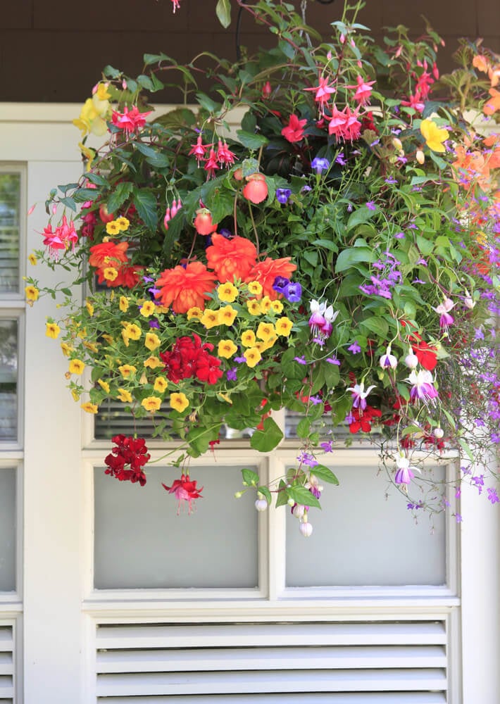 一个大型悬挂花篮的例子，有各种各样的花类型和颜色，包括黄色，红色，橙色，粉红色和紫色。