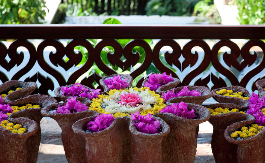 院子里的陶罐里有一大束黄色和紫色的花，中心是黄色、白色和粉色的。