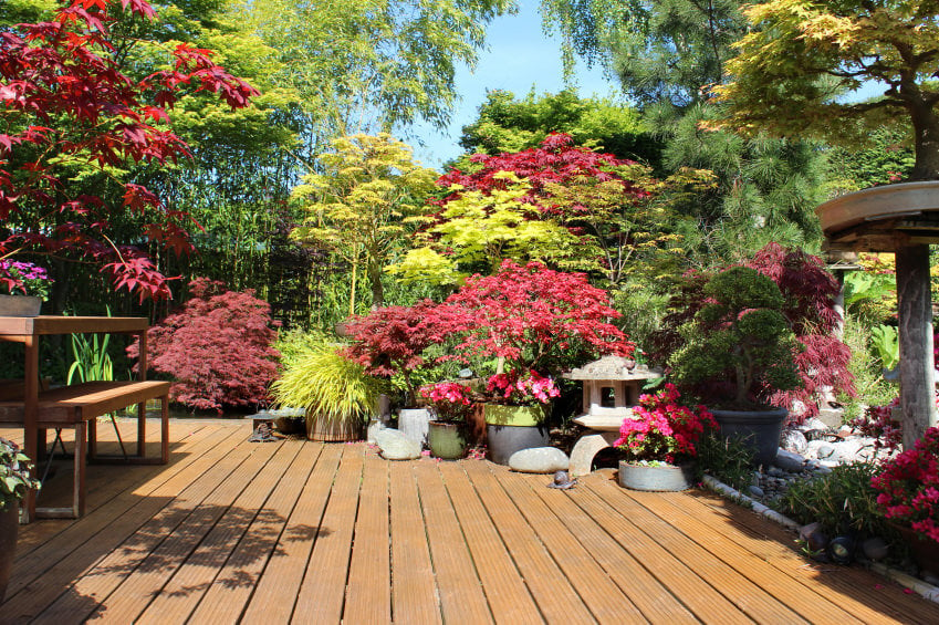 这是一个在甲板上的禅宗花园，包括使用各种盆栽风格的花卉和植物的混合。