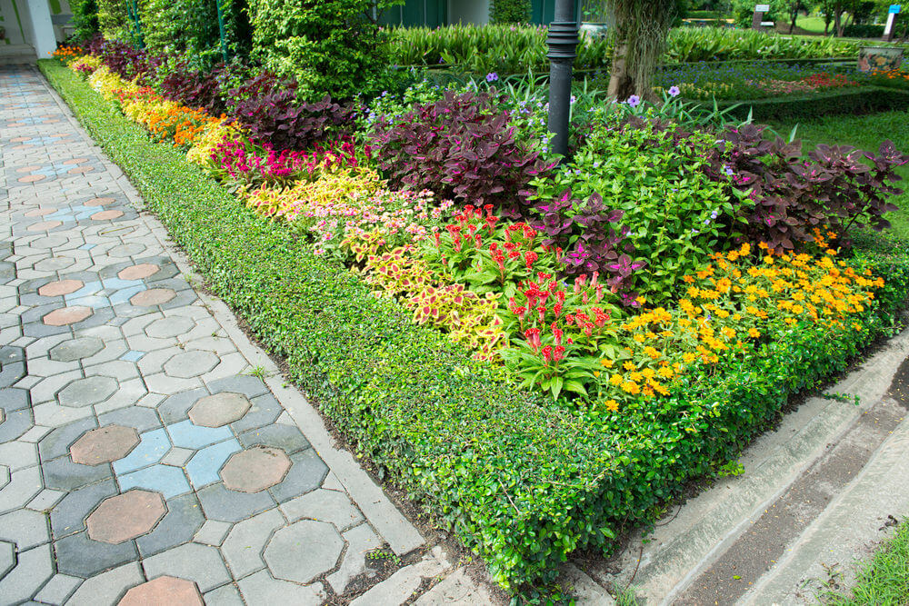 色彩斑斓、精心设计的石砌砖上点缀着绿色植物和五彩缤纷的植物，如玛雅那和金盏花。
