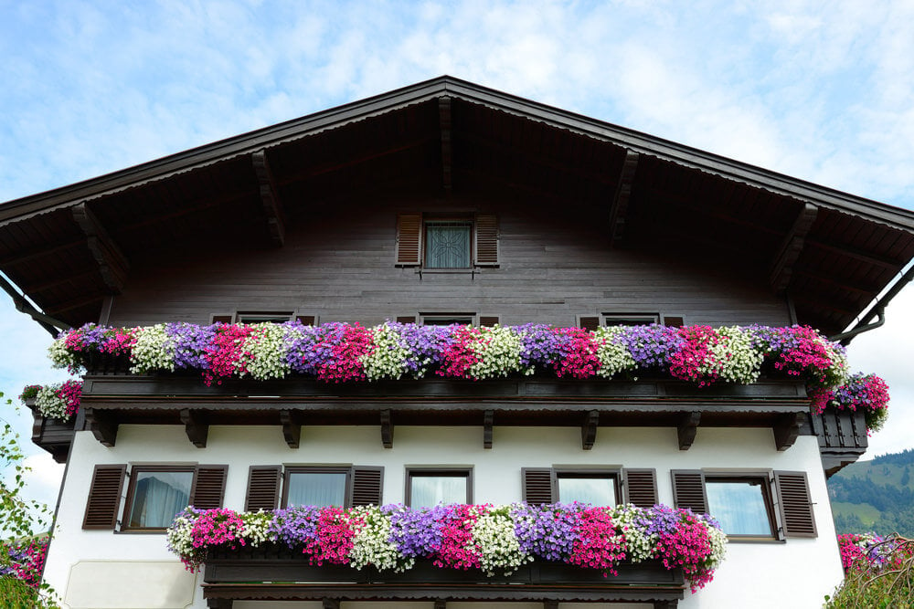瑞士木屋风格的建筑，长而大的花盒横跨整个建筑的宽度，包含白色紫红色和紫色的花朵，以重复的模式排列。壮观的!