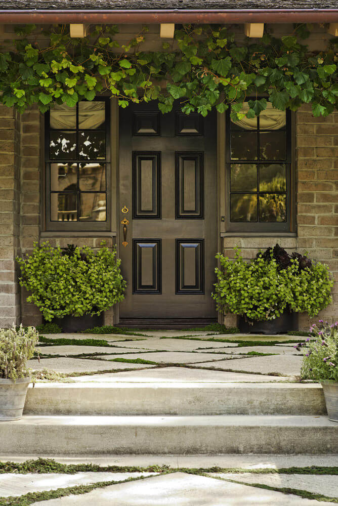 紧贴在横梁上看起来像葡萄藤，下面是对称地放置在门的角落里的盆栽绿色植物。