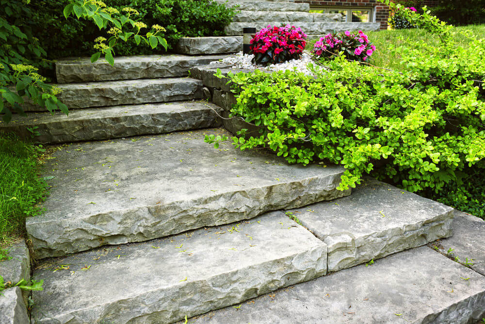 边缘崎岖的铺路板作为花园台阶，四周环绕着低矮的绿色灌木和开花植物。