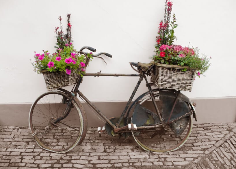 这是一个生锈的桶的自行车变成花卉种植与柳条篮子种植在前面和后面。