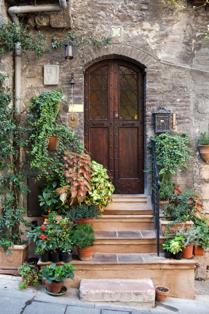 门阶上摆放着盆栽和挂着玛雅那和其他观赏植物的花盆。