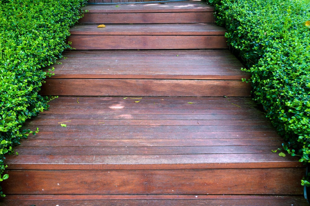 修剪整齐的树篱把宽阔的花园木台阶整齐地衬托出来。