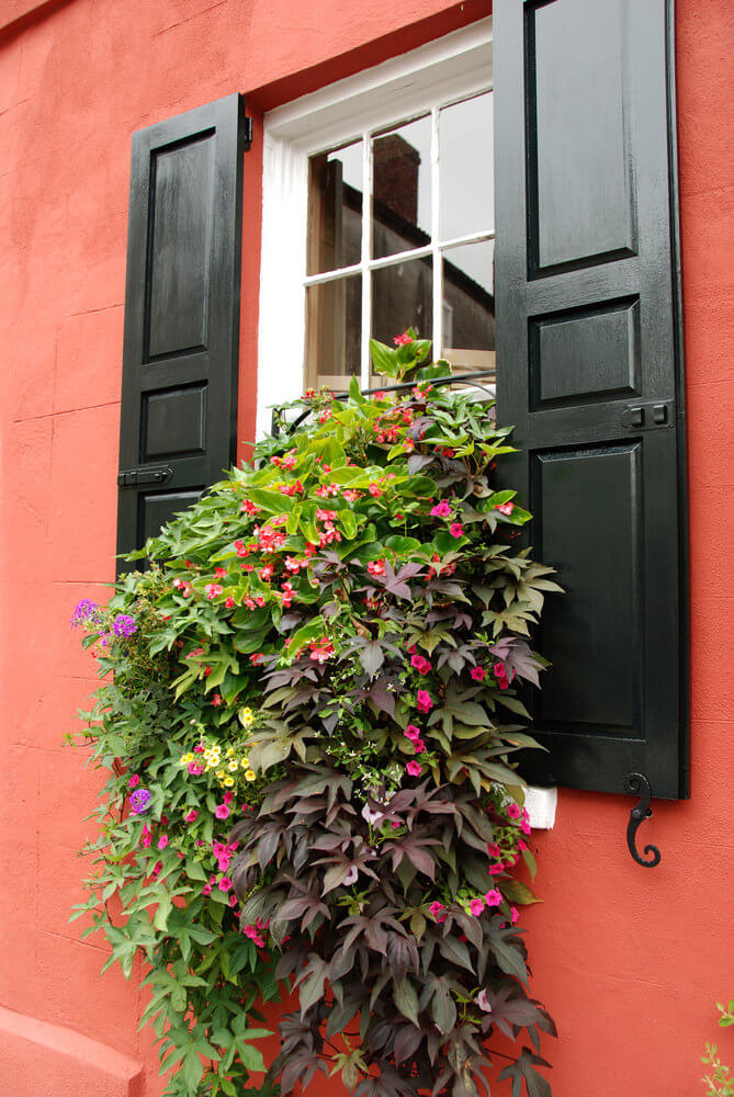 窗外的花盒里挂着植物和鲜花，仿佛从窗户里倾泻而出。