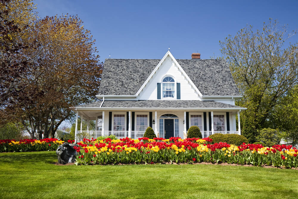 这座白色房子的优雅被更加强调，因为它周围盛开着令人惊叹的红色和黄色的郁金香。