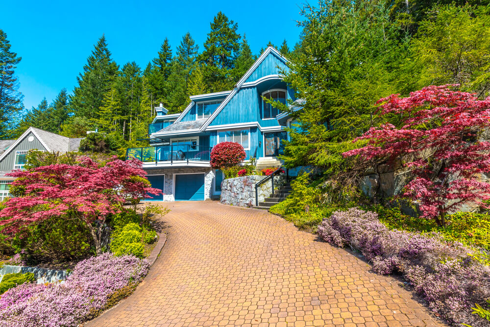 蓝色的房子最吸引人，因此它周围的颜色也必须混合，以平衡良好的视野。彩色的砖路、日本棕榈枫树、青松和灌木都是很好的组合。