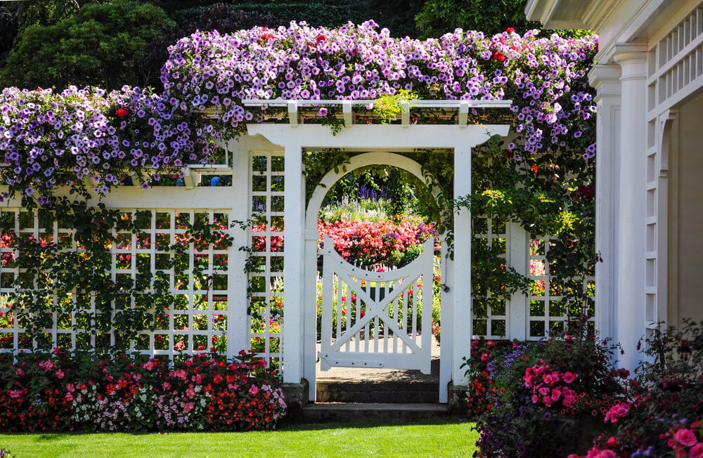 这是一个伟大的花卉花园门的想法。色彩鲜艳的藤蔓花朵和地上的花灌木给人一种压倒性的欢迎感。里面更有花香和天堂般的感觉。