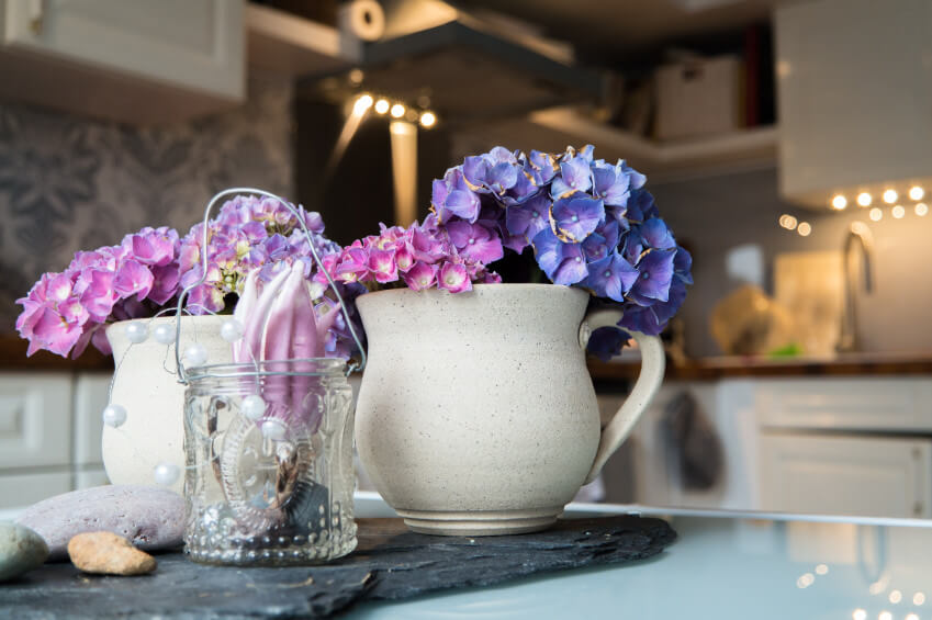 用水罐和绣球花做花瓶，给你的桌面增添一种乡村气息。这将帮助你为你的厨房或餐厅增添色彩。