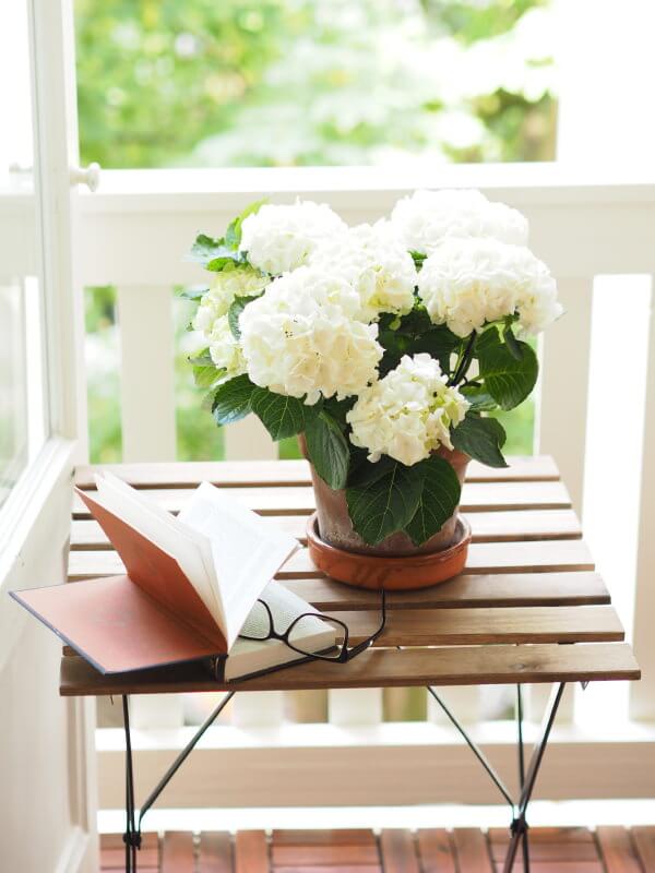 如果你正在用一个简单的棕色花瓶，并想把它放在门廊的木桌上，为什么不放一小束白色的绣球花来增加一些乡村的感觉呢?