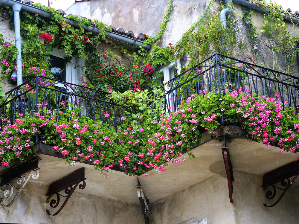 阳台上有流动的花盒和花盆，以及爬上建筑墙壁的藤蔓，创造了一个花丛林般的环境。