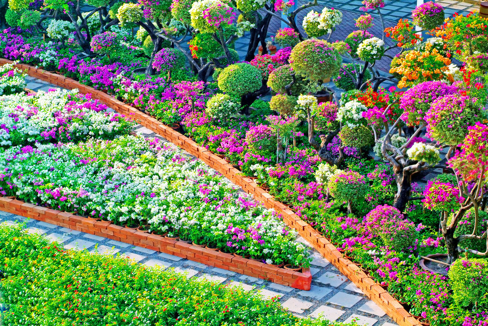 这真是一幅美丽的景色，到处都是五颜六色的花朵。开花植物的修剪和紫色的花朵沿着砖路边排列，而紫色和白色的矮牵牛花在花盒里。