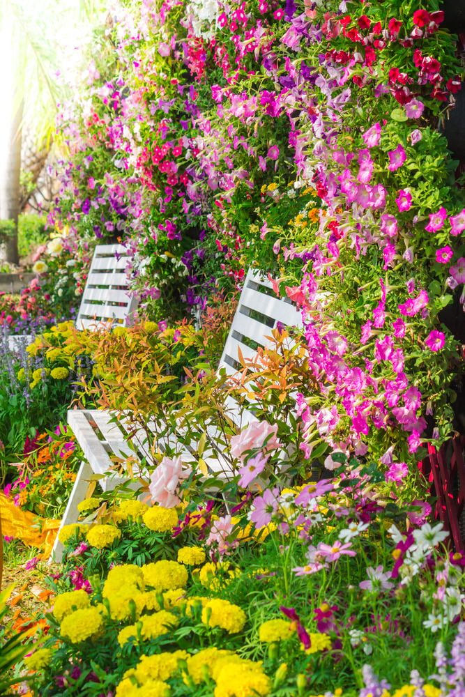 这把花园椅子上点缀着五颜六色的矮牵牛花和菊花。