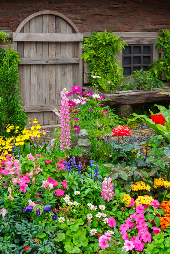 前院花园开满了紫色、粉色、黄色、白色和橙色的花朵。在这个组合的颜色是牵牛花，洋甘菊，跳舞的女士，风信子和玫瑰。