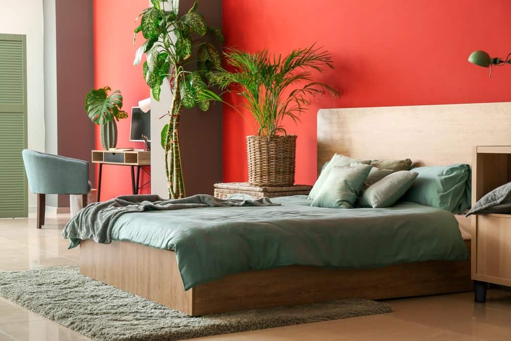 宽敞的主卧室，有一张舒适的大床和一边的小书桌。房间内有多种室内植物和一面红墙。
