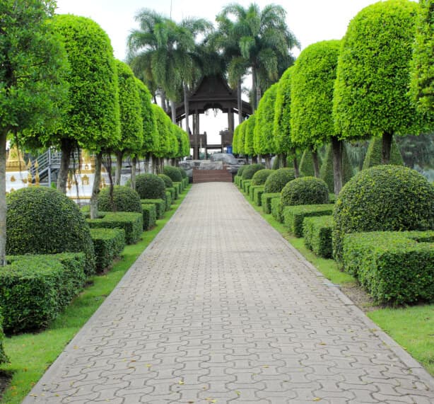 Curled-pattern灰砖走道运行的中心这个大花园巧妙雕刻树木和绿色植物。