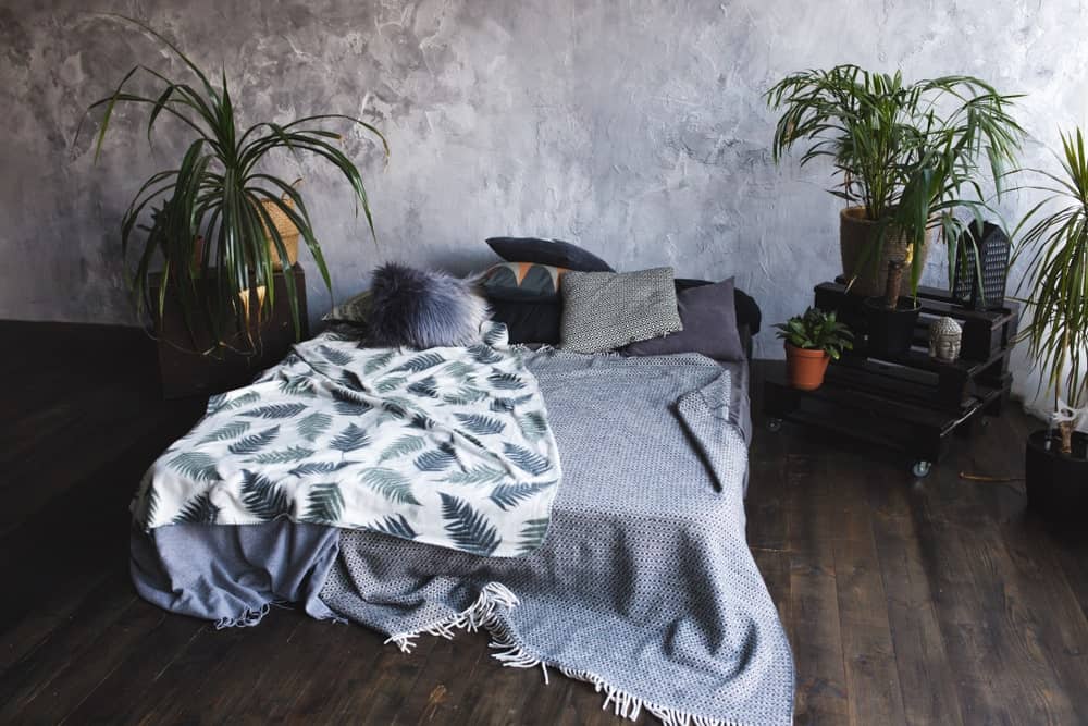 深色的硬木地板有一种烧焦的感觉，与有灰色床单和枕头的床垫相得益彰。这张床的两侧是盆栽植物，与床头的浅灰色混凝土墙形成对比。