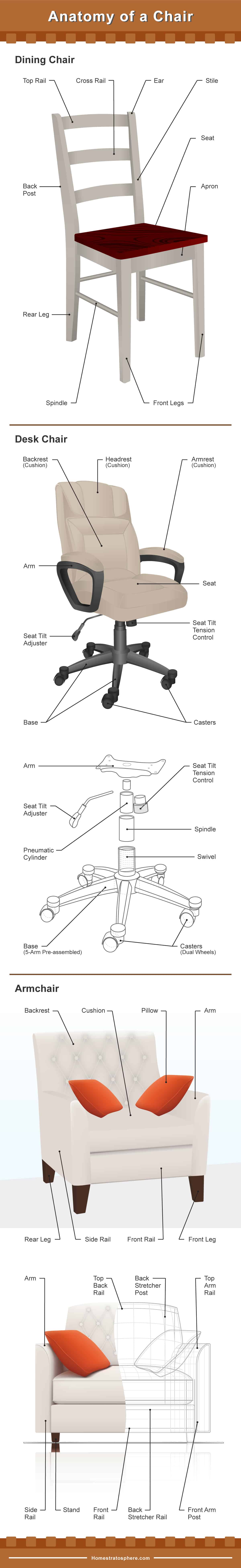 椅子图的解剖结构：桌椅，扶手椅和餐椅。