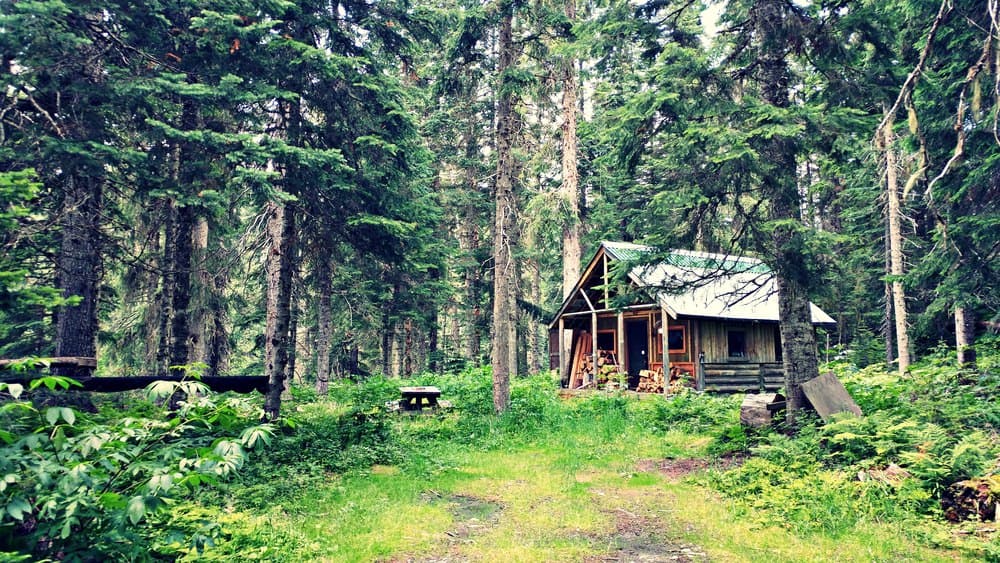 小木屋在树林里