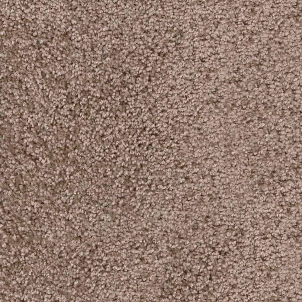 质感地毯与高品质的纤维和一个几乎防污渍的颜色。