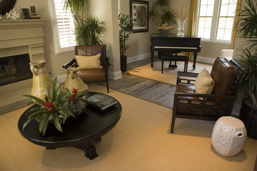客厅里有大量的植物，棕色的地毯，深色的木制家具和小三角在一边。