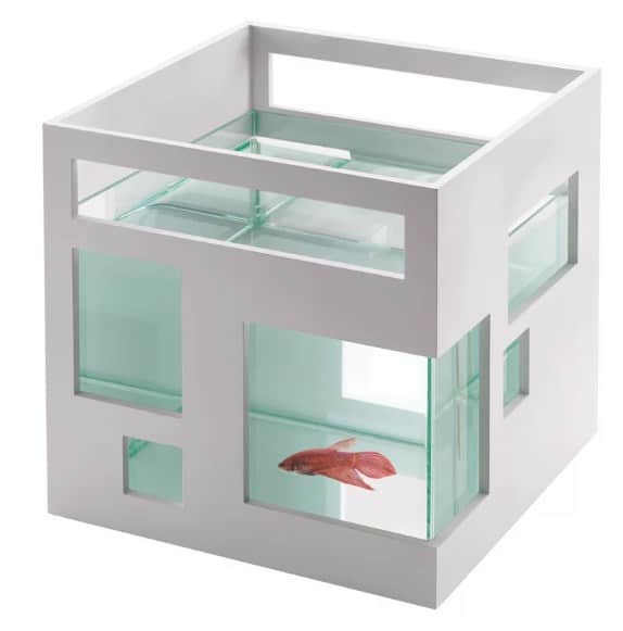 玻璃鱼缸。