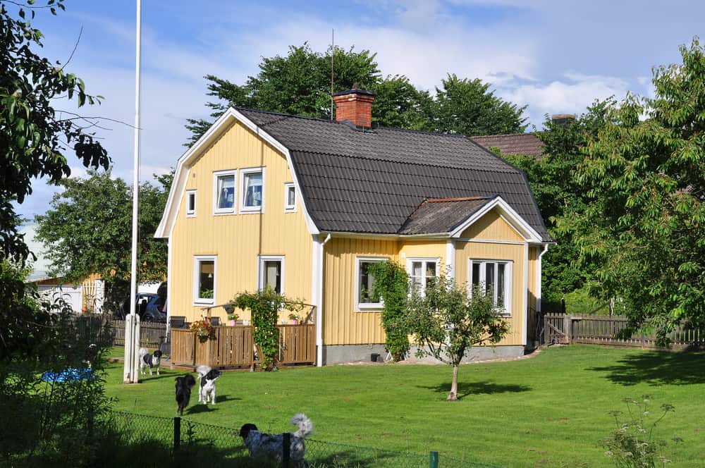 旧斜屋顶黄色房子在瑞典的大乡村地段与白色装饰。